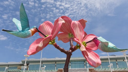 Giant Hummingbirds Land at Richmond International Airport
