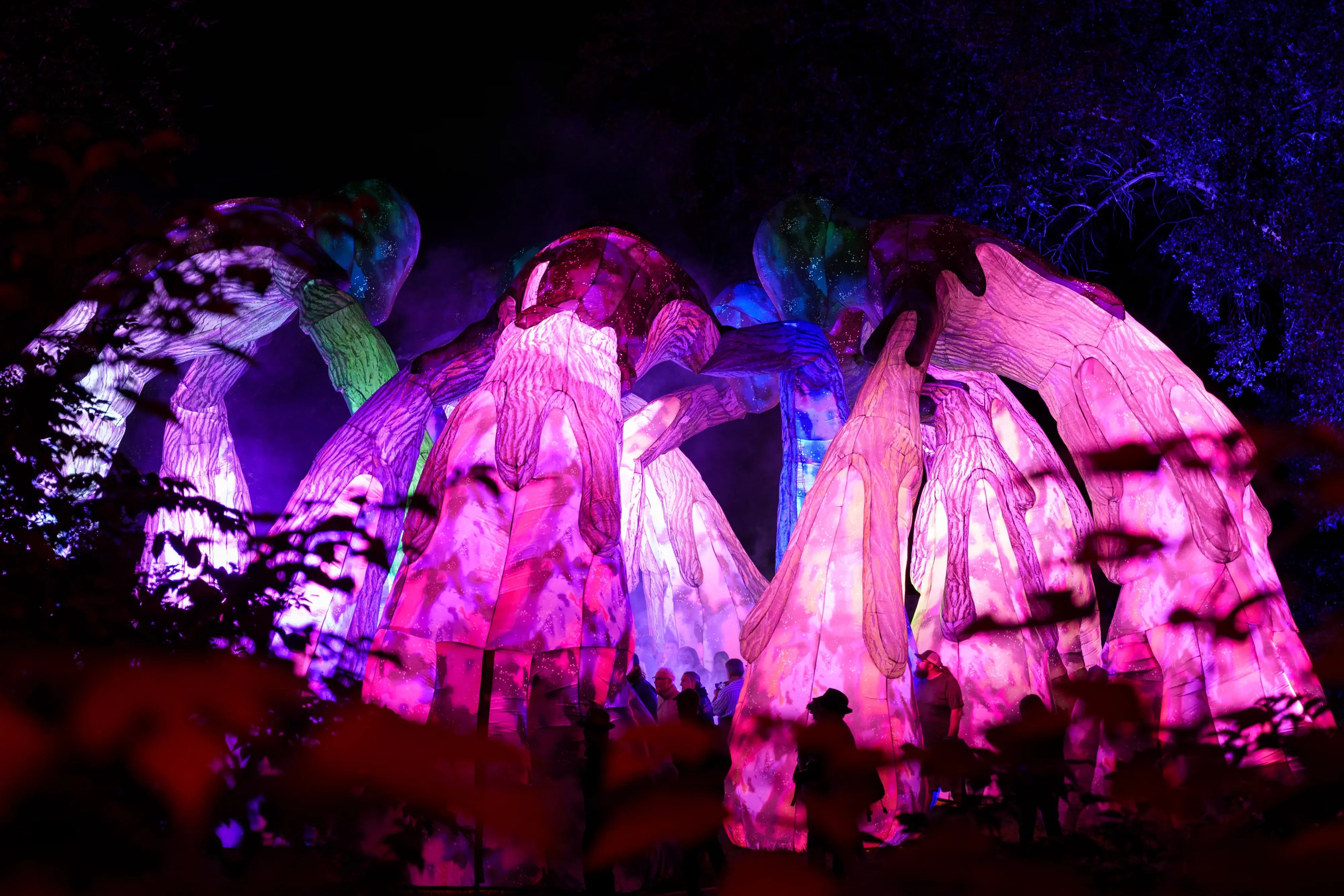 Astral Relics of the Great North Woods Uploaded by FuzzPop WorkshopAstral Relics of the Great North Woods Uploaded by FuzzPop Workshop 2