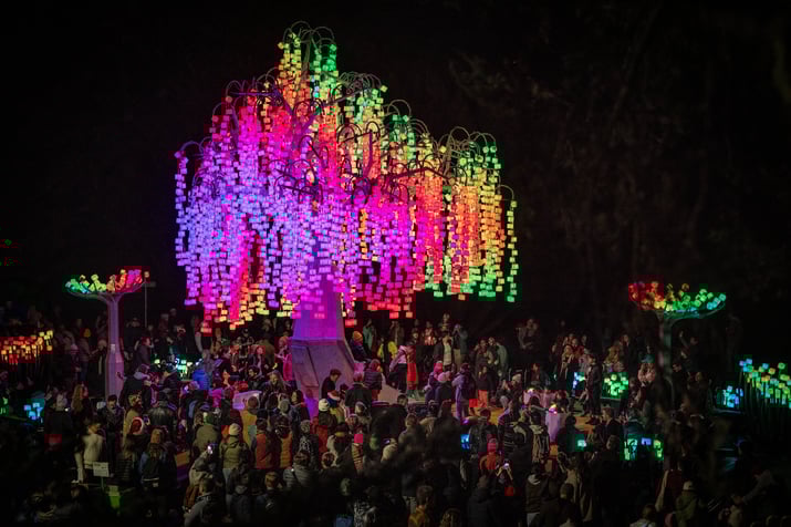 Elder Mother Uploaded by Charles Gadeken 2