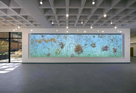 Jennifer Steinkamp, Eon, University of Texas at Austin Uploaded by Landmarks