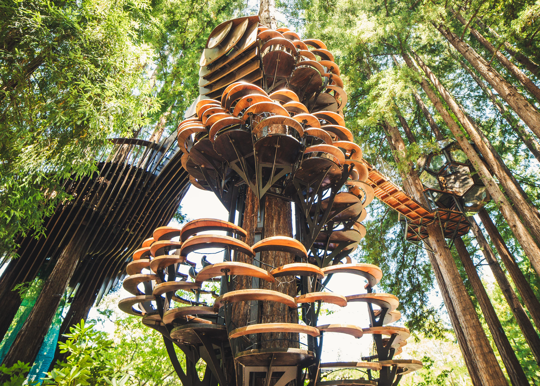 Redwood Ripple Uploaded by Rbhu Engineering